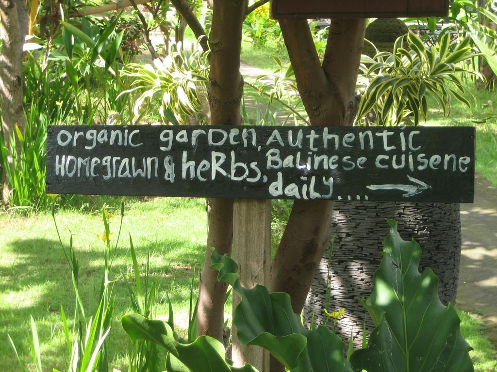 Amed Harmony Bungalows And Villas Ngoại thất bức ảnh